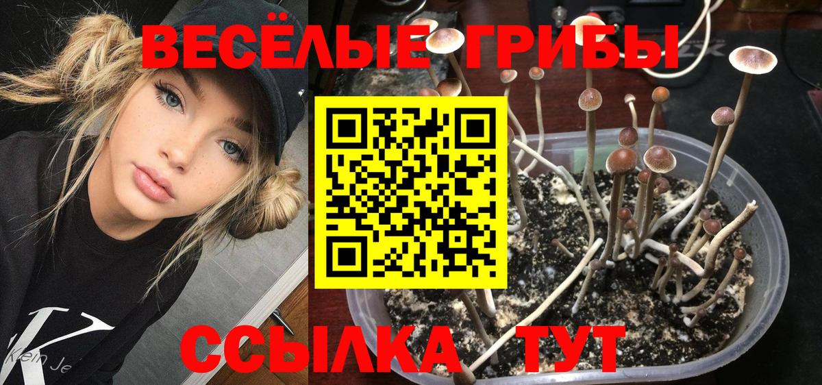 Псилоцибиновые грибы GOLDEN TEACHER  Вход с VPN  Нижнеудинск  Галлюциногенные грибы MAGIC MUSHROOMS 