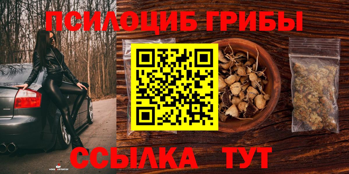 Галлюциногенные грибы мухоморы Нижнеудинск